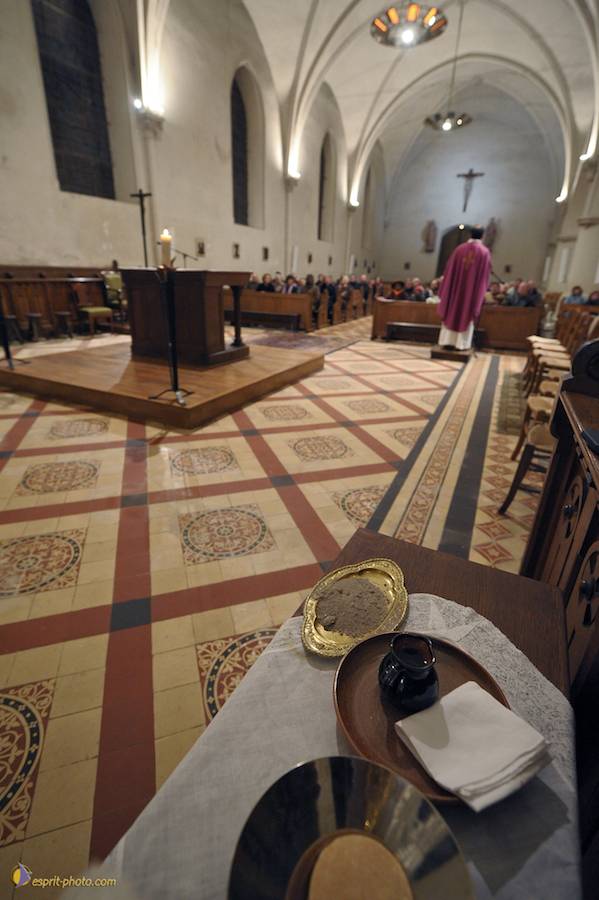 Nom de l'image : D30045812_1_(c)Norbert-JUNG — Description :